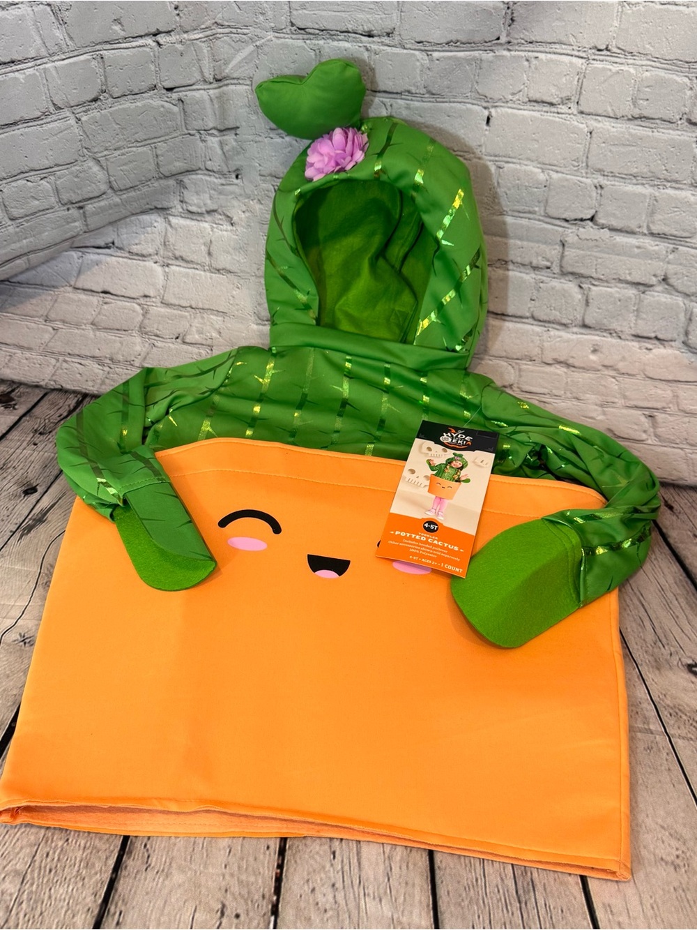 Target Hyde & EEK Potted Cactus Kids Halloween Costume